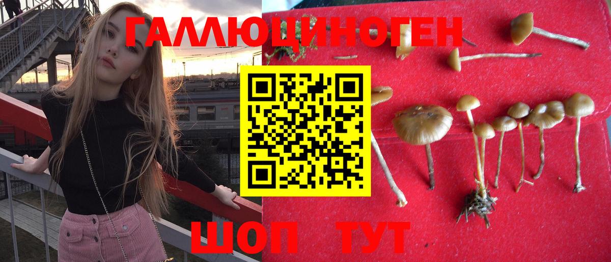 Псилоцибиновые грибы Psilocybine cubensis  Вход с VPN  Псилоцибиновые грибы мухоморы  Советск 