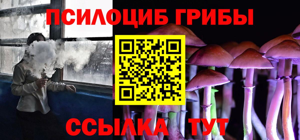 Псилоцибиновые грибы Psilocybine cubensis Советск